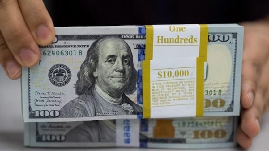 Dollar Slides, Stocks Rally Ahead of US Inflation Data: Market Highlights