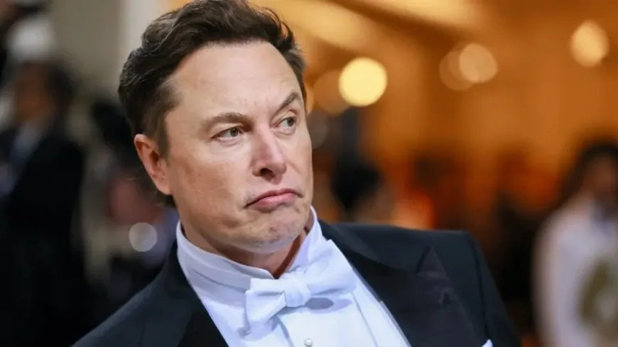Dogecoin Remains Steady as Elon Musk Dismisses Tesla CEO Exit Rumors