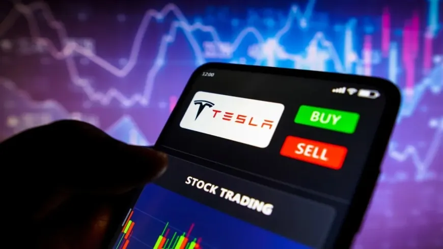 Tesla Stock Skyrockets as Musk Shifts Focus Back — But Crashing EU Sales Signal Trouble