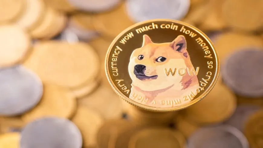 Dogecoin: 2 Key Reasons to Consider Buying Before 2026