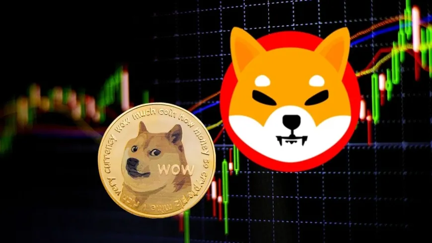 Dogecoin Could Outperform Shiba Inu in 2025 With ETF Push